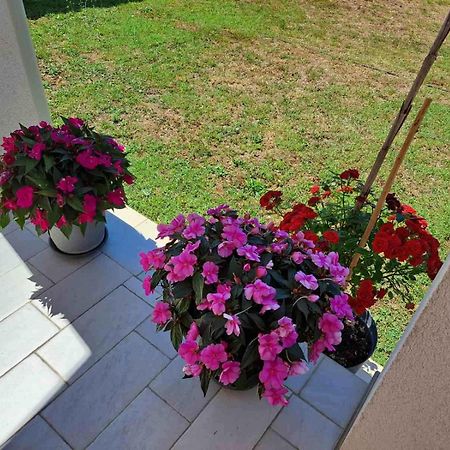 Apartmani Danica Воднян Экстерьер фото