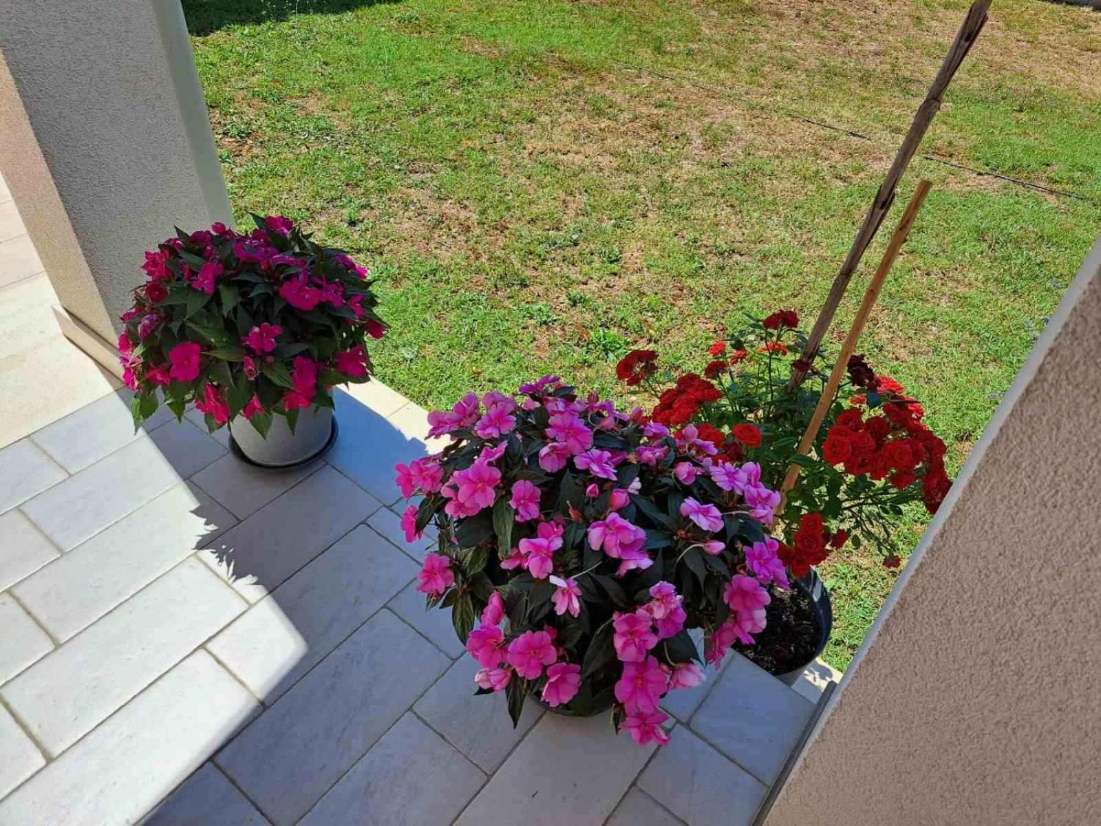 Apartmani Danica Воднян Экстерьер фото