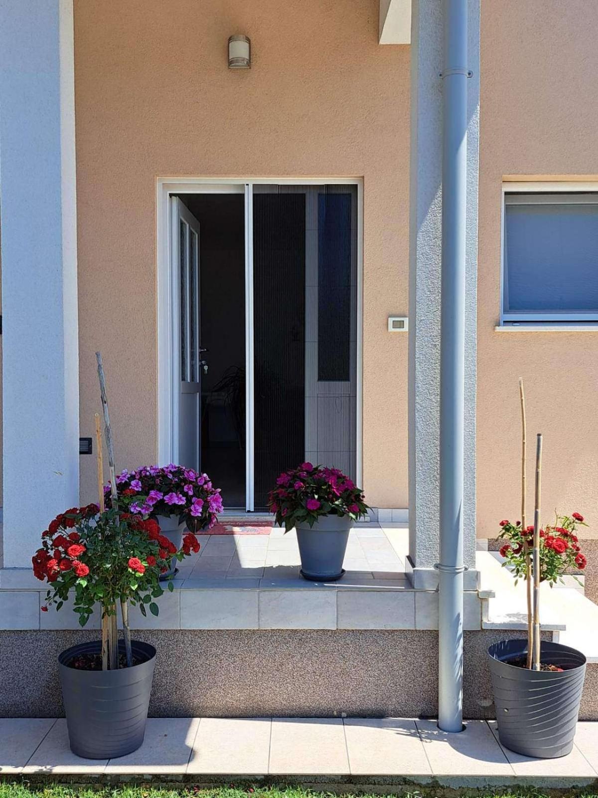 Apartmani Danica Воднян Экстерьер фото